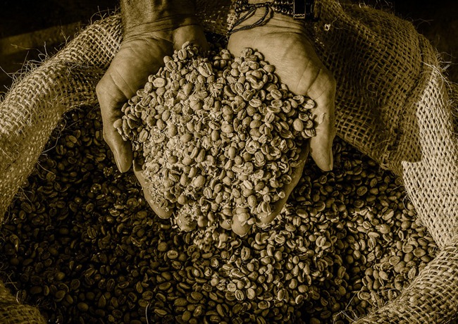 Kolombiya Kahvesi, Tadı ve Fincanınıza Yolculuğu Sezy Coffee